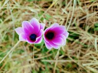 IMG_20210315_083456~2.jpg