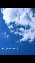 Screenshot_20210316-094331_Gallery.jpg