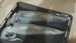 20210226_202047.jpg