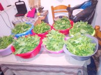 received_5118551851519801.jpeg