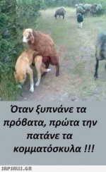 1618146297267.png