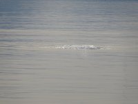 DSC05032.JPG