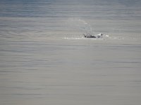 DSC05033.JPG