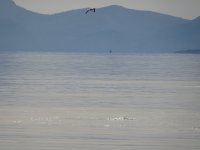 DSC05035.JPG