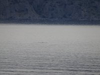 DSC05013.JPG