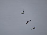 J08 7 DSC01371.JPG