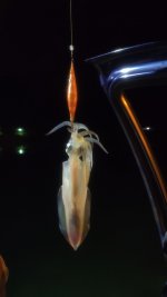IMG_20210430_214238.jpg