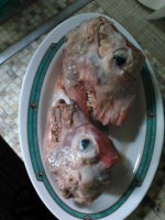 IMG_20210501_185043.jpg