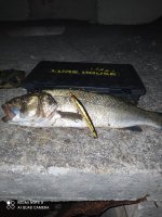 IMG_20210504_222011.jpg