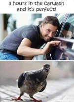 FB_IMG_1620664676157.jpg