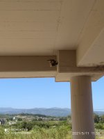 IMG_20210511_111948.jpg