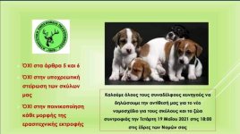 FB_IMG_1620987729989.jpg