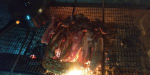 IMG_20210521_213051.jpg