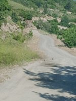 IMG_20210603_180413.jpg