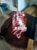 IMG_20210605_200204.jpg