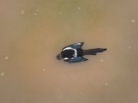 20150926_091014.jpg