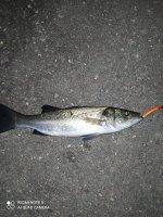 IMG_20210607_224426.jpg