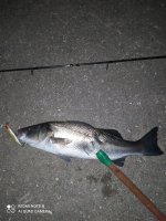 IMG_20210614_233843.jpg