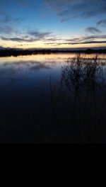 IMG_20210618_194011.jpg