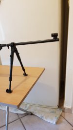 Diana 350 Magnum with bipod.jpg