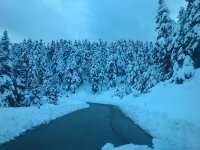 DSC_0926.JPG