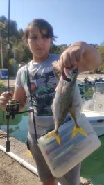 IMG_20210717_095153.jpg