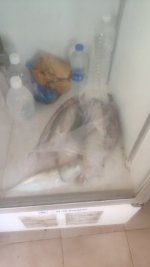 IMG_20210717_120607.jpg