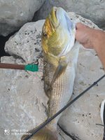 IMG_20210717_200632.jpg