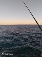IMG_20210717_202247.jpg