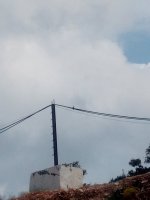 IMG_20210719_092441.jpg
