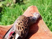 IMG_20180821_101844~2.jpg