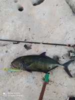IMG_20210725_202949.jpg