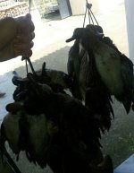 IMG_20210803_224030.jpg