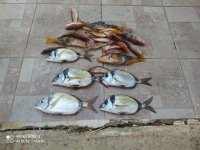 IMG_20210808_102209.jpg