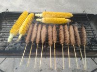 IMG_20210819_134434.jpg