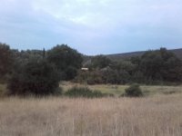 20210820_063039.jpg