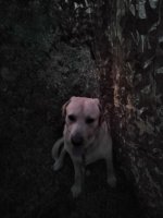 IMG_20210820_063352.jpg
