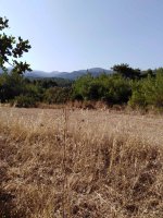 εικόνα_Viber_2021-08-20_16-57-29-414.jpg