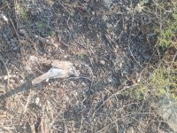 IMG_20210820_181716.jpg