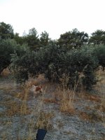 εικόνα_Viber_2021-08-21_09-21-40-217.jpg