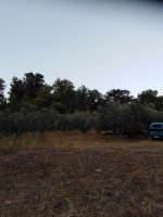 εικόνα_Viber_2021-08-22_10-29-43-271.jpg