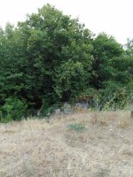 εικόνα_Viber_2021-08-22_10-31-20-310.jpg