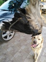 IMG_20210823_075203.jpg
