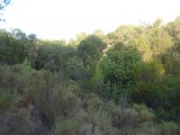 DSC01005.JPG