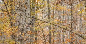 F641079F-0758-44BD-A8AA-1EB6BCD8740A.jpeg