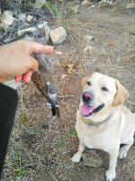 IMG_20210827_083829.jpg