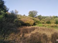IMG_20210827_084521.jpg