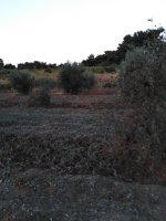 εικόνα_Viber_2021-08-30_08-46-19-929.jpg