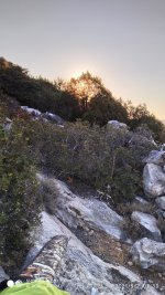IMG_20210902_073343.jpg