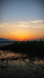 IMG_20210917_114041.jpg